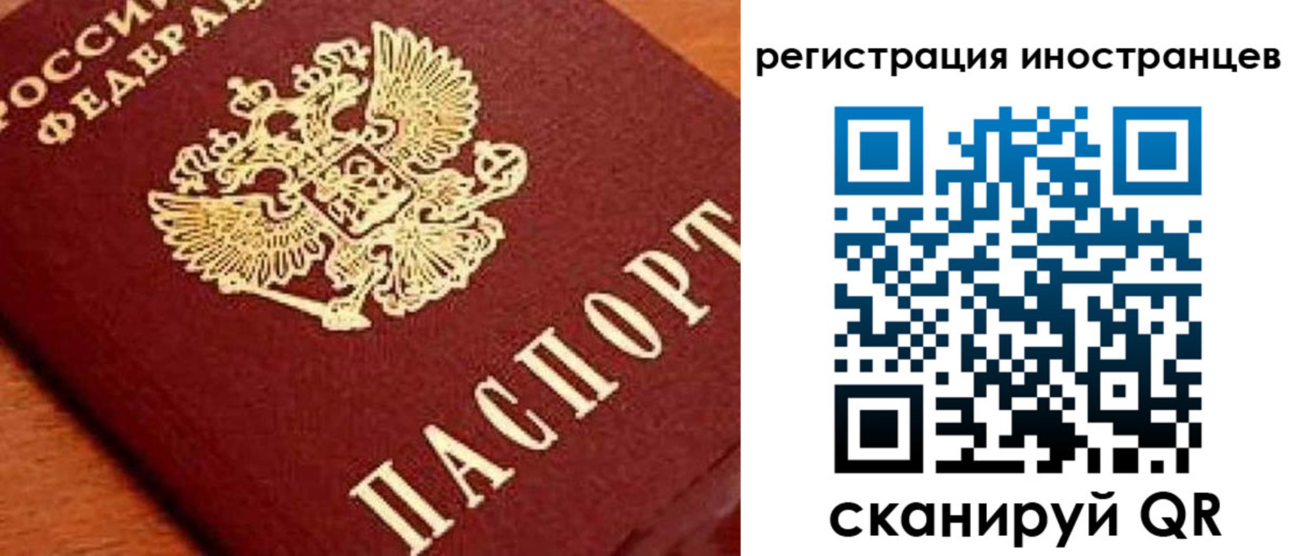прописка для школы в Чистополье